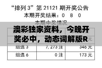 澳彩獨(dú)家資料，今晚開獎(jiǎng)必中，動(dòng)態(tài)詞解版RKG634.07