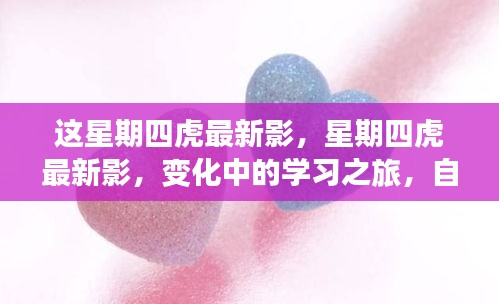 星期四虎最新影，變化中的學習之旅，自信與成就感的源泉