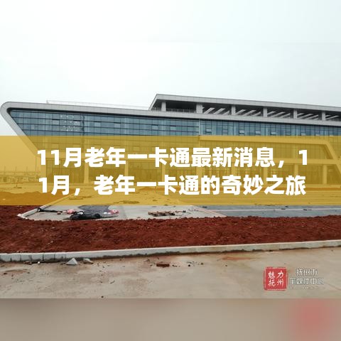 11月老年一卡通最新動(dòng)態(tài)，奇妙之旅開啟