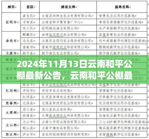 云南和平公棚最新公告發(fā)布，多元觀點(diǎn)探析與解讀