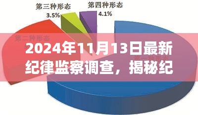 揭秘紀(jì)律監(jiān)察調(diào)查，最新動(dòng)態(tài)與深度解讀（以紀(jì)念日期為例）