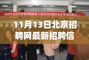北京招聘網(wǎng)最新動態(tài)，聚焦招聘信息下的職場洞察與觀點碰撞（11月13日）