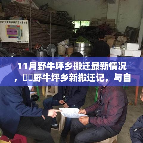 野牛坪鄉(xiāng)搬遷最新動態(tài)，與自然共舞的新生活啟程