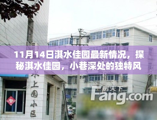 探秘淇水佳園，小巷深處的獨(dú)特風(fēng)情——最新探訪報(bào)告（11月14日）