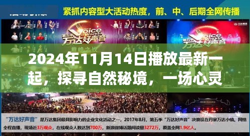 探尋自然秘境，心靈之旅啟程于2024年11月14日