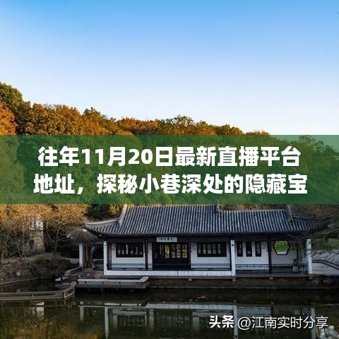 探秘小巷深處的寶藏，十一月二十日最新直播平臺獨特魅力之旅的地址分享