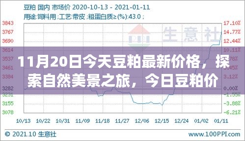 啟程尋找內(nèi)心平和，今日豆粕最新價(jià)格與自然美景之旅的寧?kù)o故事