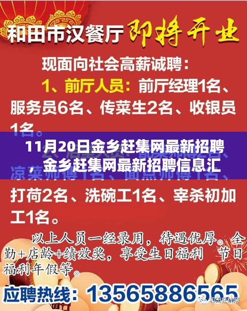 11月20日金鄉(xiāng)趕集網(wǎng)最新招聘匯總，熱點(diǎn)崗位解析與招聘信息