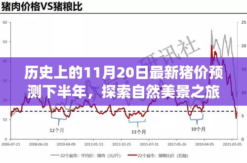 歷史上的11月20日豬價(jià)預(yù)測(cè)與心靈寧?kù)o尋覓之旅，自然美景探索