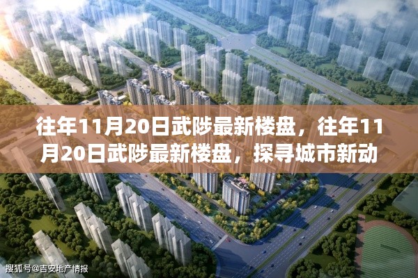 往年11月20日武陟最新樓盤深度解析，探尋城市新動力，解讀未來生活藍圖
