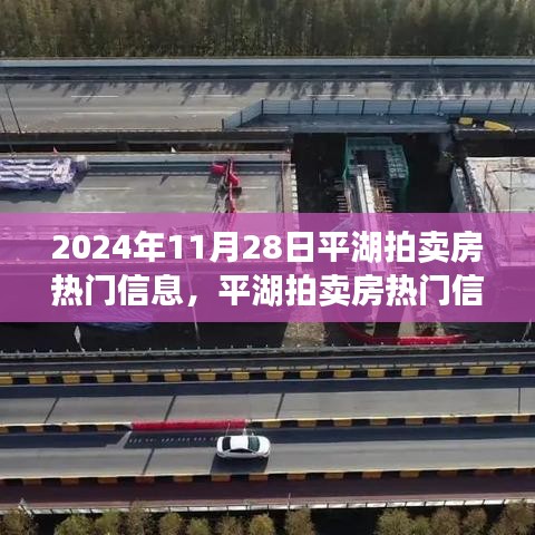 平湖拍賣房熱門信息揭秘，回顧與展望，影響深遠！