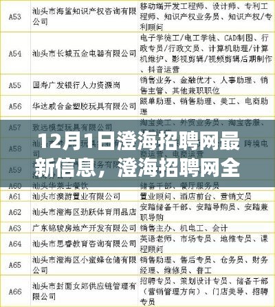 澄海招聘網(wǎng)全新升級，科技引領(lǐng)招聘變革，體驗未來招聘之旅（最新信息）