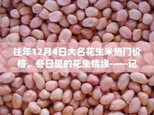 冬日花生情緣，探尋大名花生米熱門價格與奇妙之旅