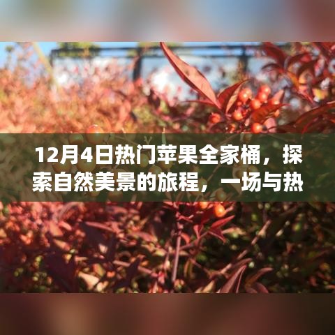 招標(biāo)采購 第98頁