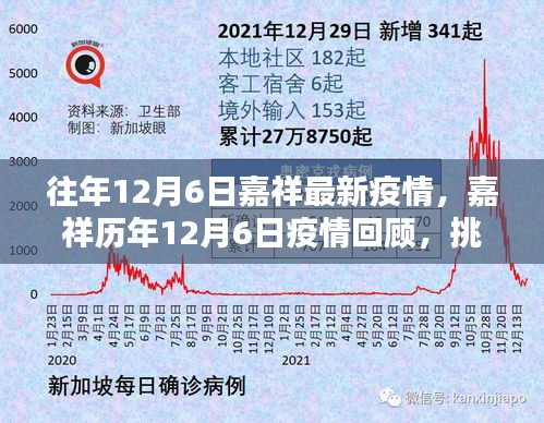 嘉祥歷年與當下疫情回顧，挑戰(zhàn)與堅守的印記，歷年與最新疫情動態(tài)分析。