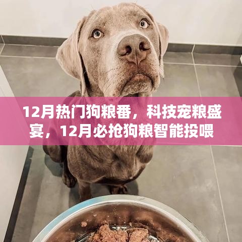 12月熱門狗糧番與智能投喂器新品亮相，科技寵糧盛宴開(kāi)啟