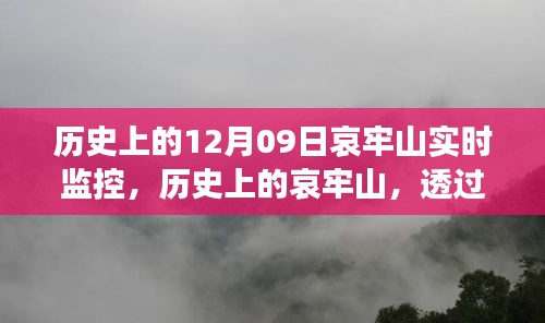 哀牢山歷史監(jiān)控實錄，透過實時影像一窺昔日風(fēng)采