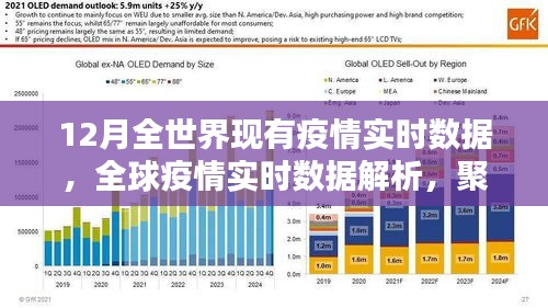 全球疫情實(shí)時數(shù)據(jù)解析，聚焦12月疫情動態(tài)與動態(tài)變化