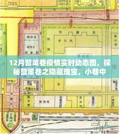營策巷疫情動態(tài)與隱藏瑰寶探索，小巷特色小店實(shí)時(shí)更新數(shù)據(jù)報(bào)告