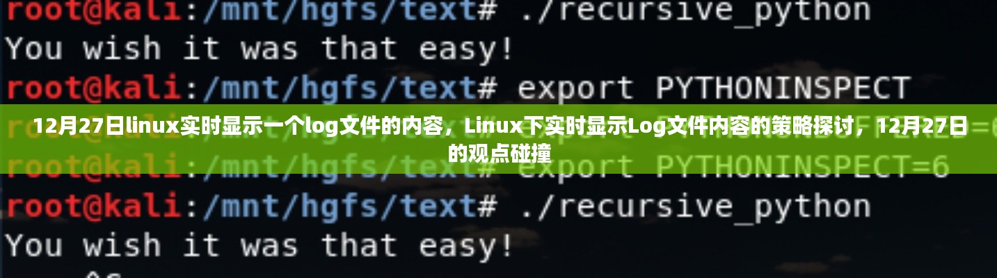 Linux下實(shí)時(shí)顯示Log文件內(nèi)容的策略探討，觀點(diǎn)碰撞與實(shí)時(shí)更新技術(shù)