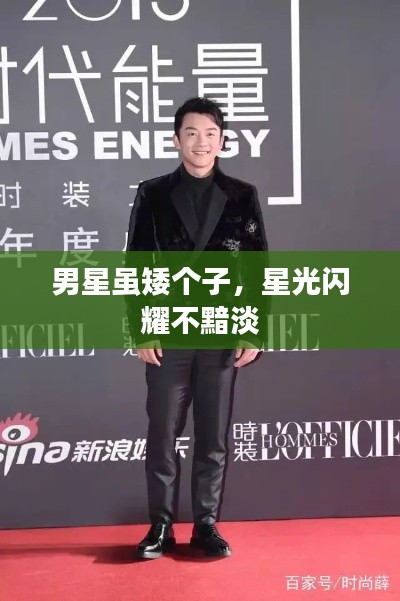 男星雖矮個(gè)子，星光閃耀不黯淡