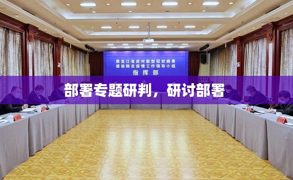 部署專(zhuān)題研判，研討部署 