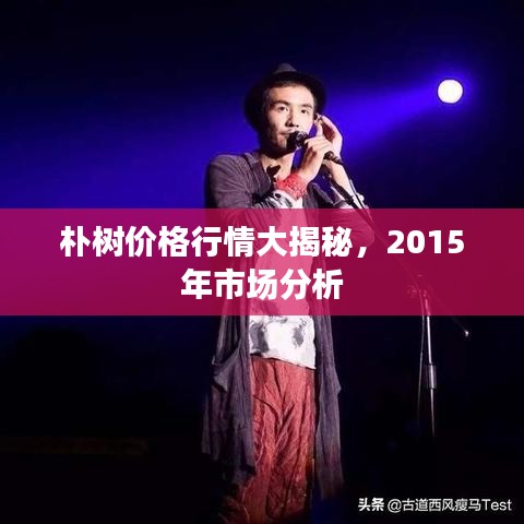 樸樹價(jià)格行情大揭秘，2015年市場分析