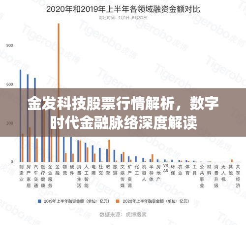 金發(fā)科技股票行情解析，數(shù)字時(shí)代金融脈絡(luò)深度解讀