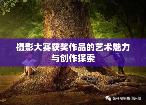 攝影大賽獲獎作品的藝術魅力與創(chuàng)作探索