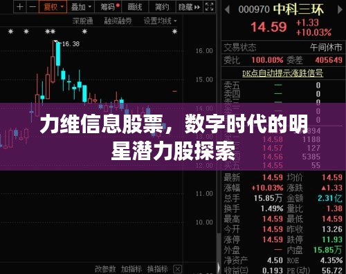 力維信息股票，數(shù)字時代的明星潛力股探索