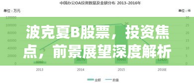 波克夏B股票，投資焦點，前景展望深度解析