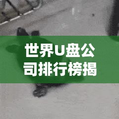 世界U盤公司排行榜揭曉，行業(yè)巨頭一覽無余！