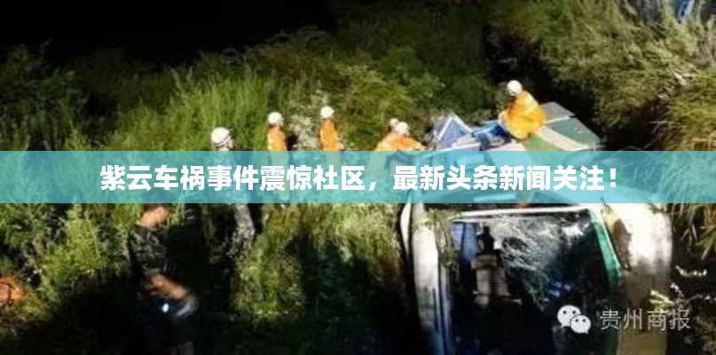 紫云車禍?zhǔn)录痼@社區(qū)，最新頭條新聞關(guān)注！