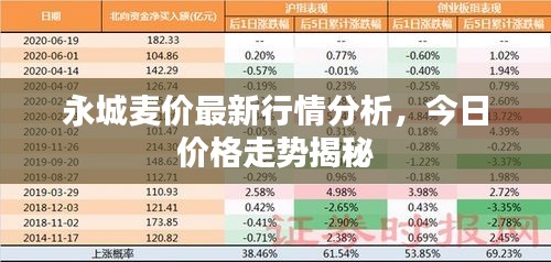 永城麥價最新行情分析，今日價格走勢揭秘