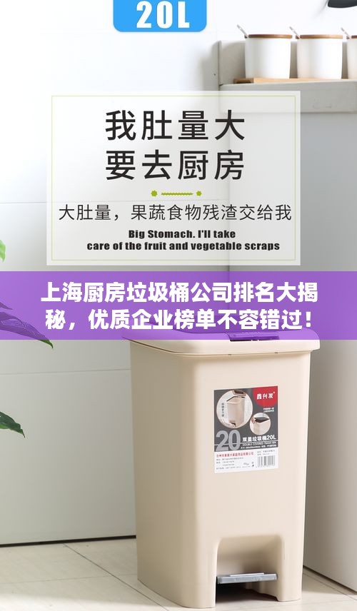 上海廚房垃圾桶公司排名大揭秘，優(yōu)質(zhì)企業(yè)榜單不容錯(cuò)過！