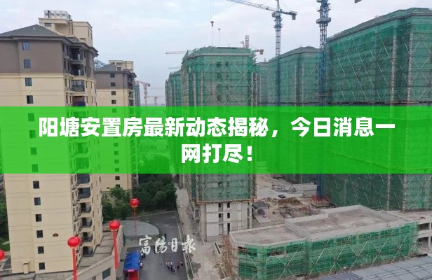 陽塘安置房最新動態(tài)揭秘，今日消息一網(wǎng)打盡！